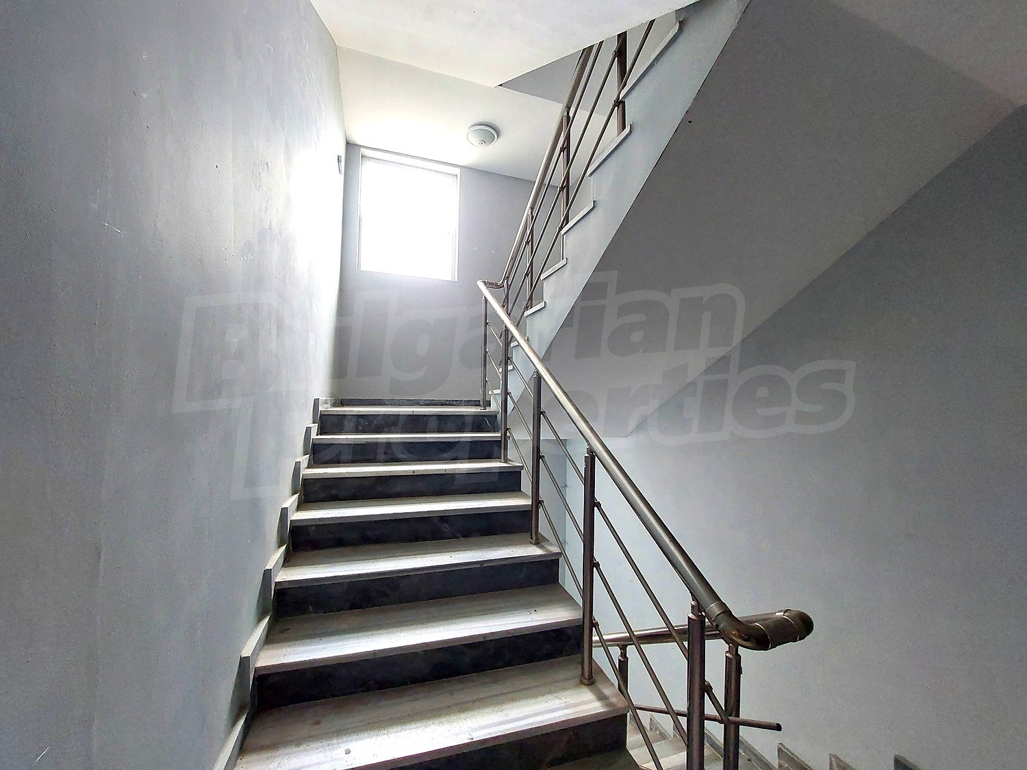 Gallery Picture 11