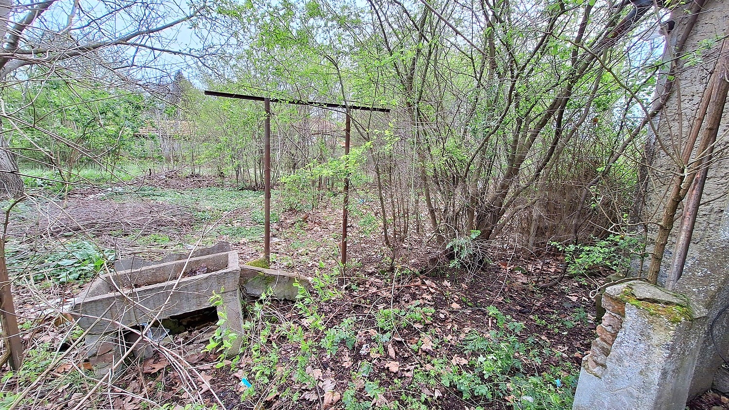Gallery Picture 18