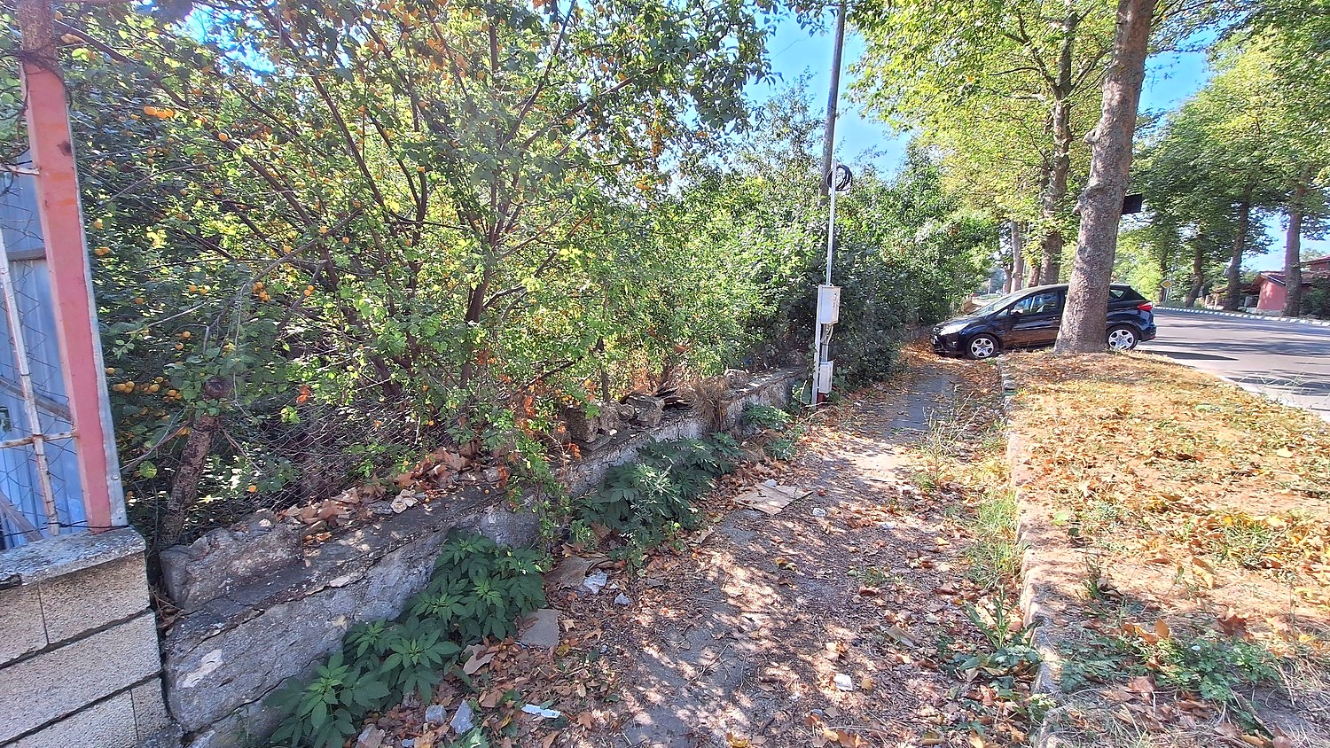 Gallery Picture 6