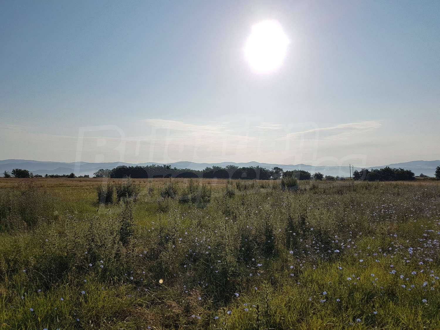Gallery Picture 16