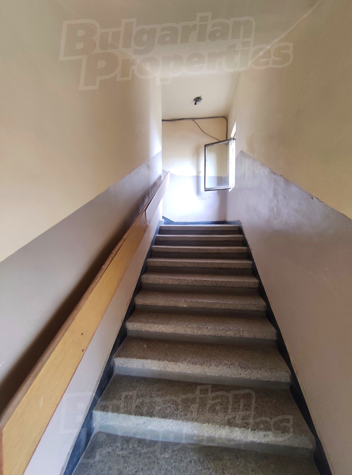 Gallery Picture 27