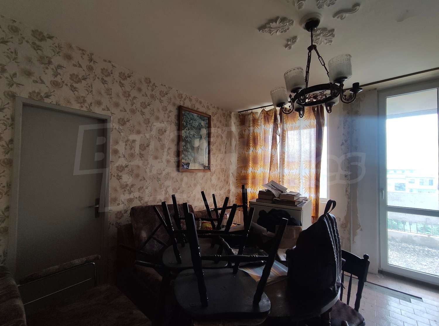Gallery Picture 17