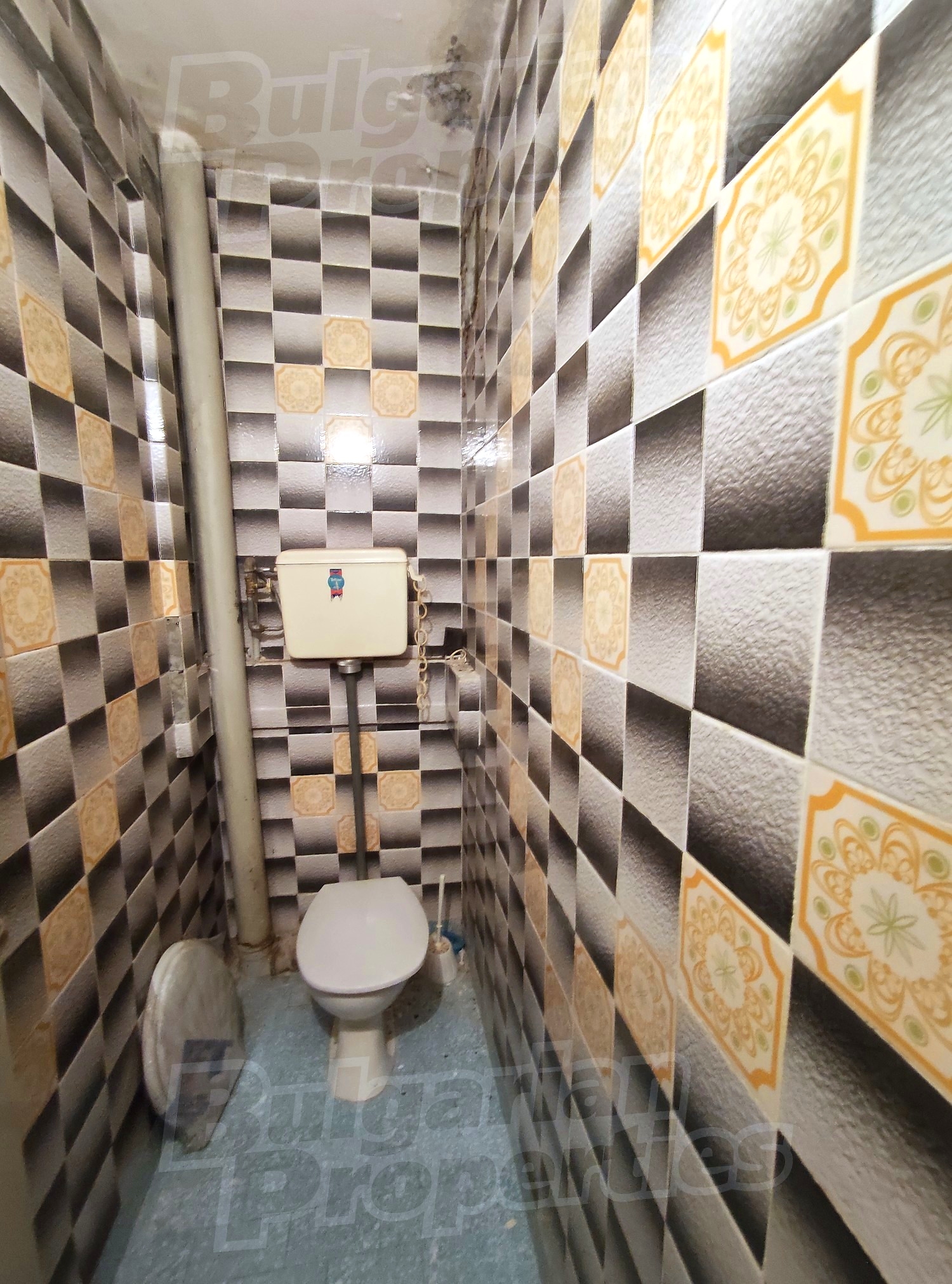Gallery Picture 19