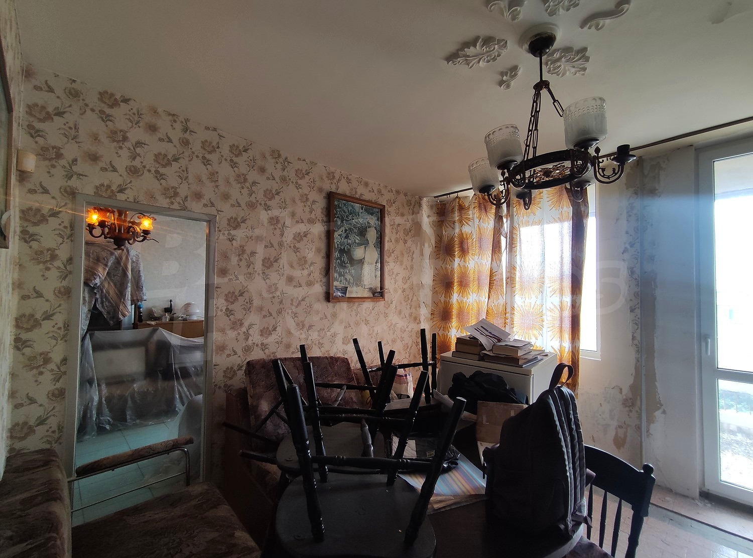 Gallery Picture 24
