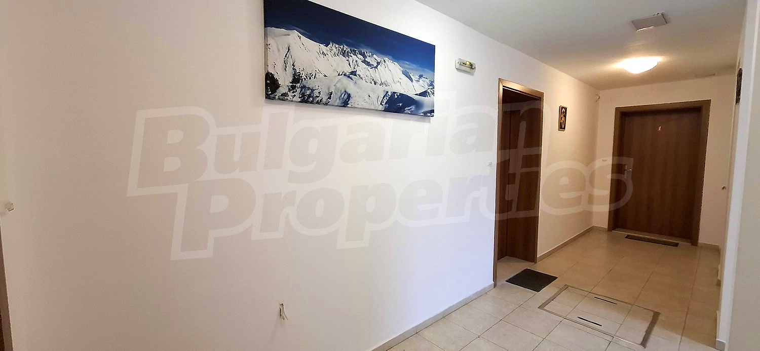 Gallery Picture 14
