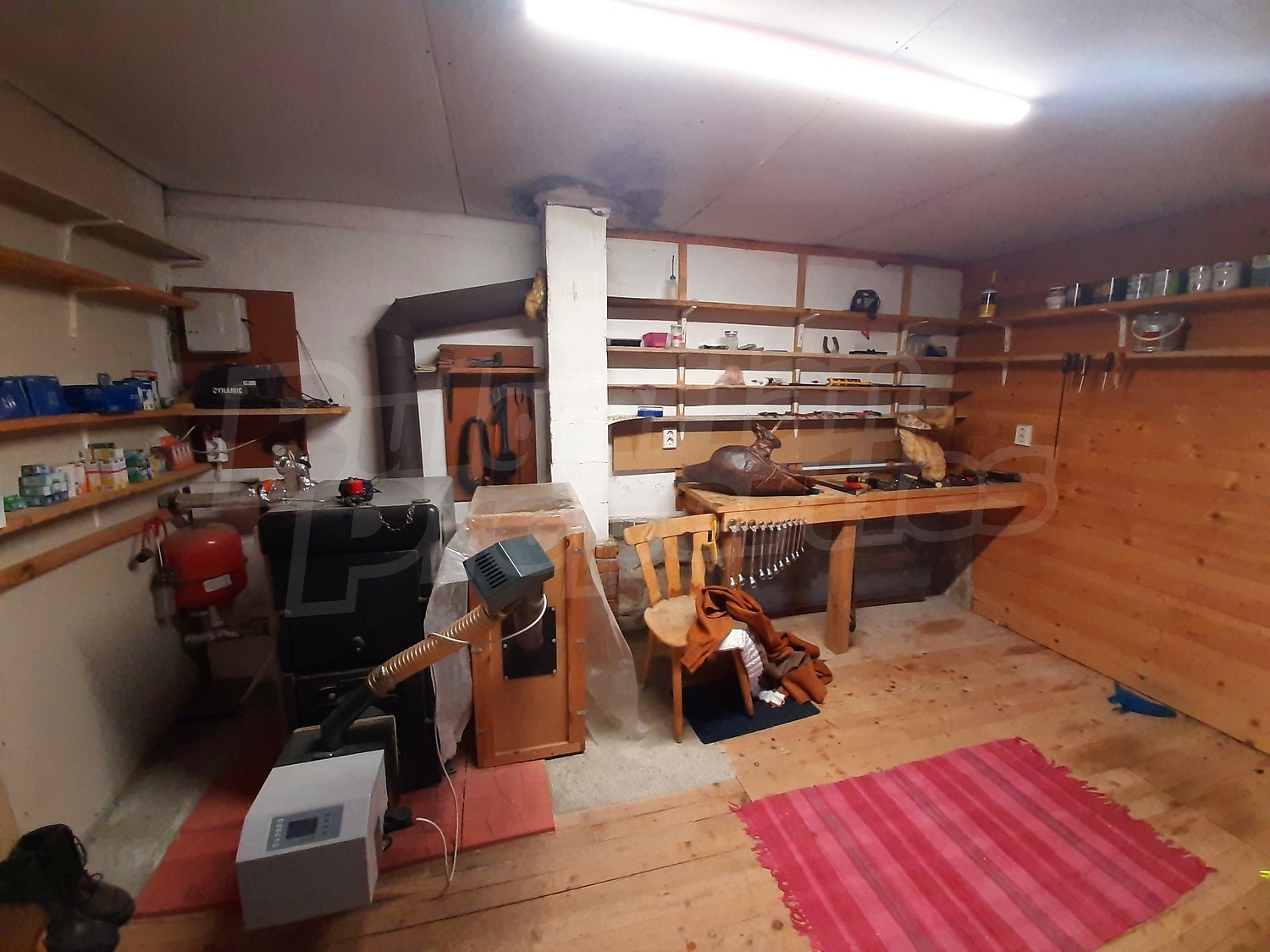 Gallery Picture 17