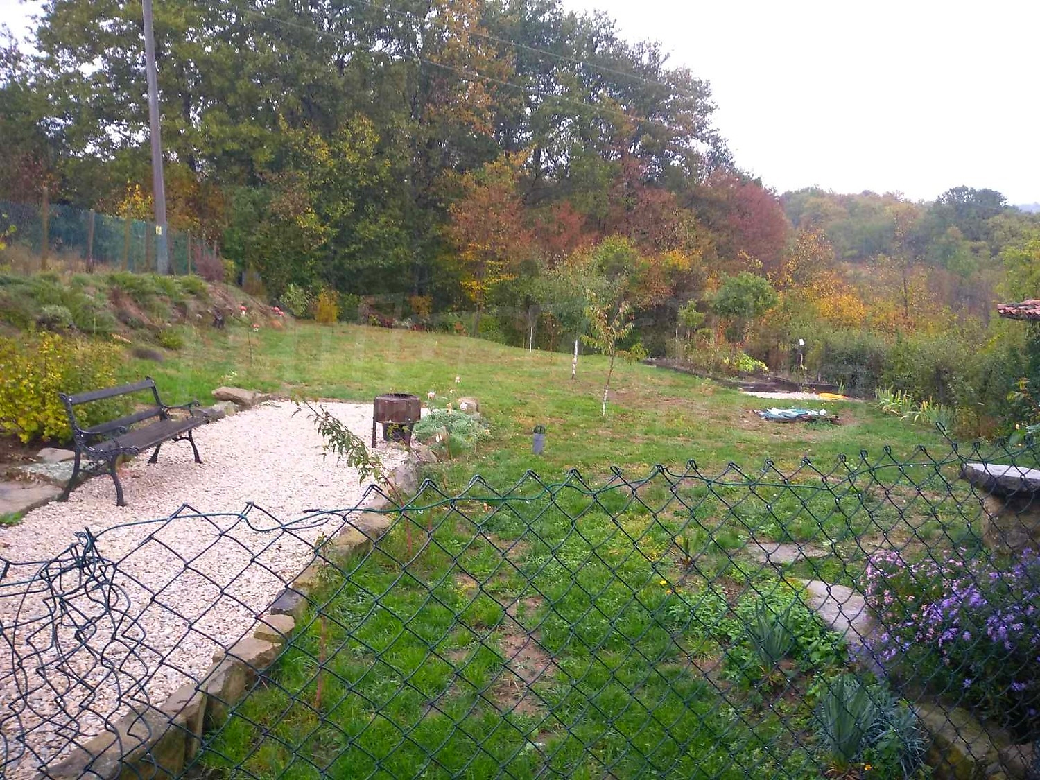 Gallery Picture 41