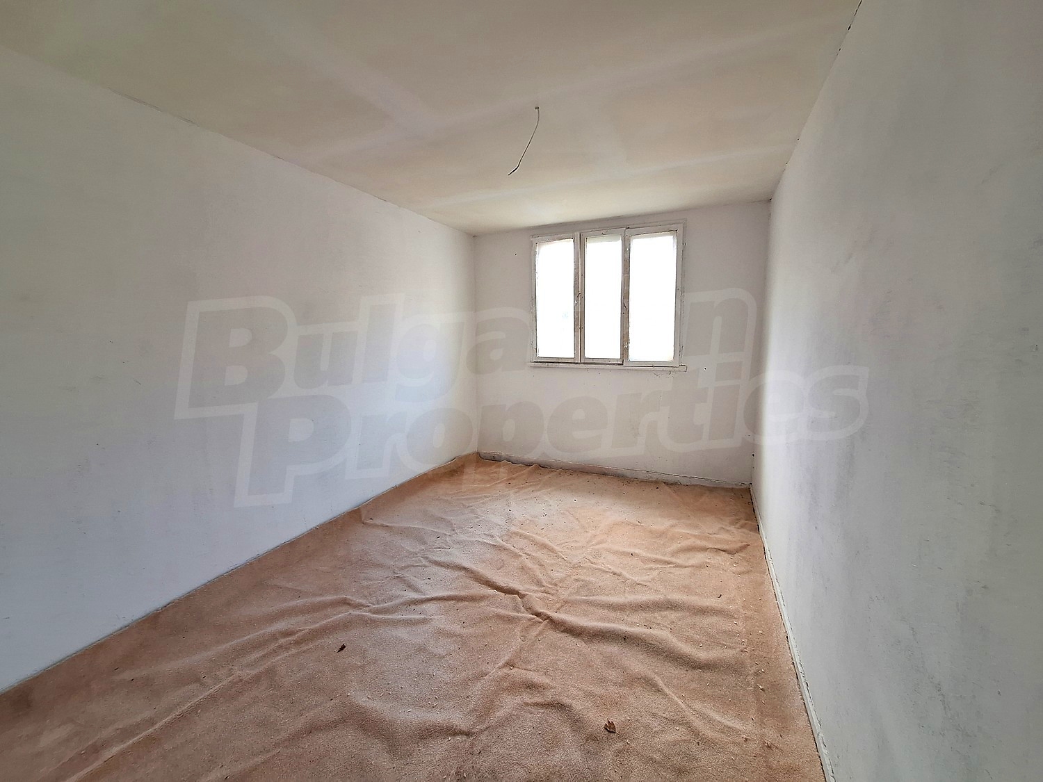 Gallery Picture 11