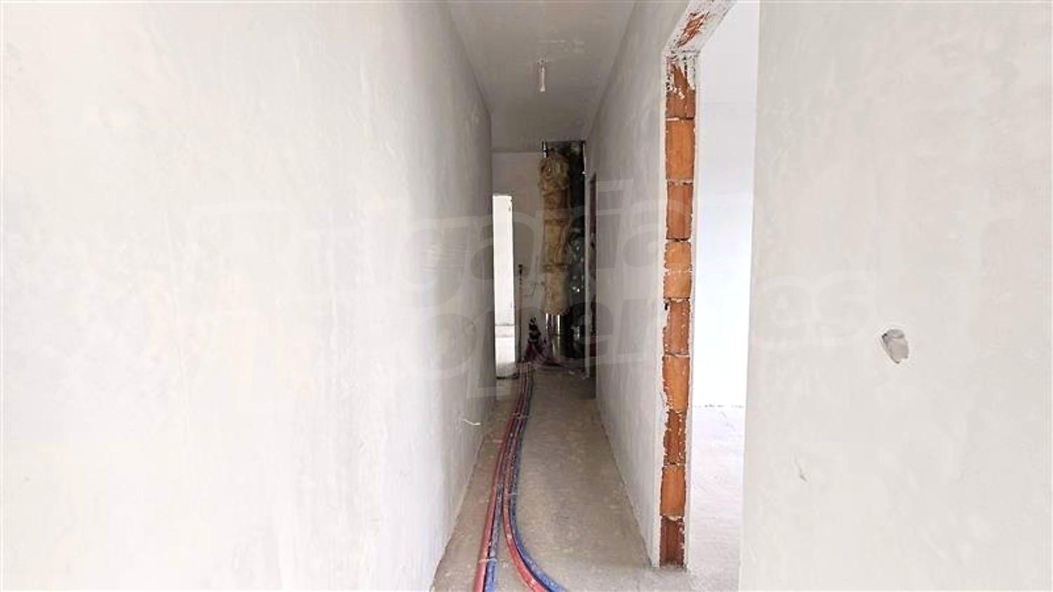Gallery Picture 12