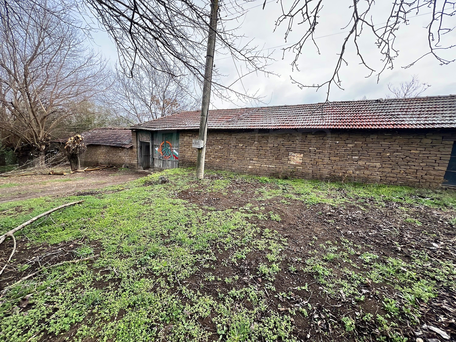 Gallery Picture 35