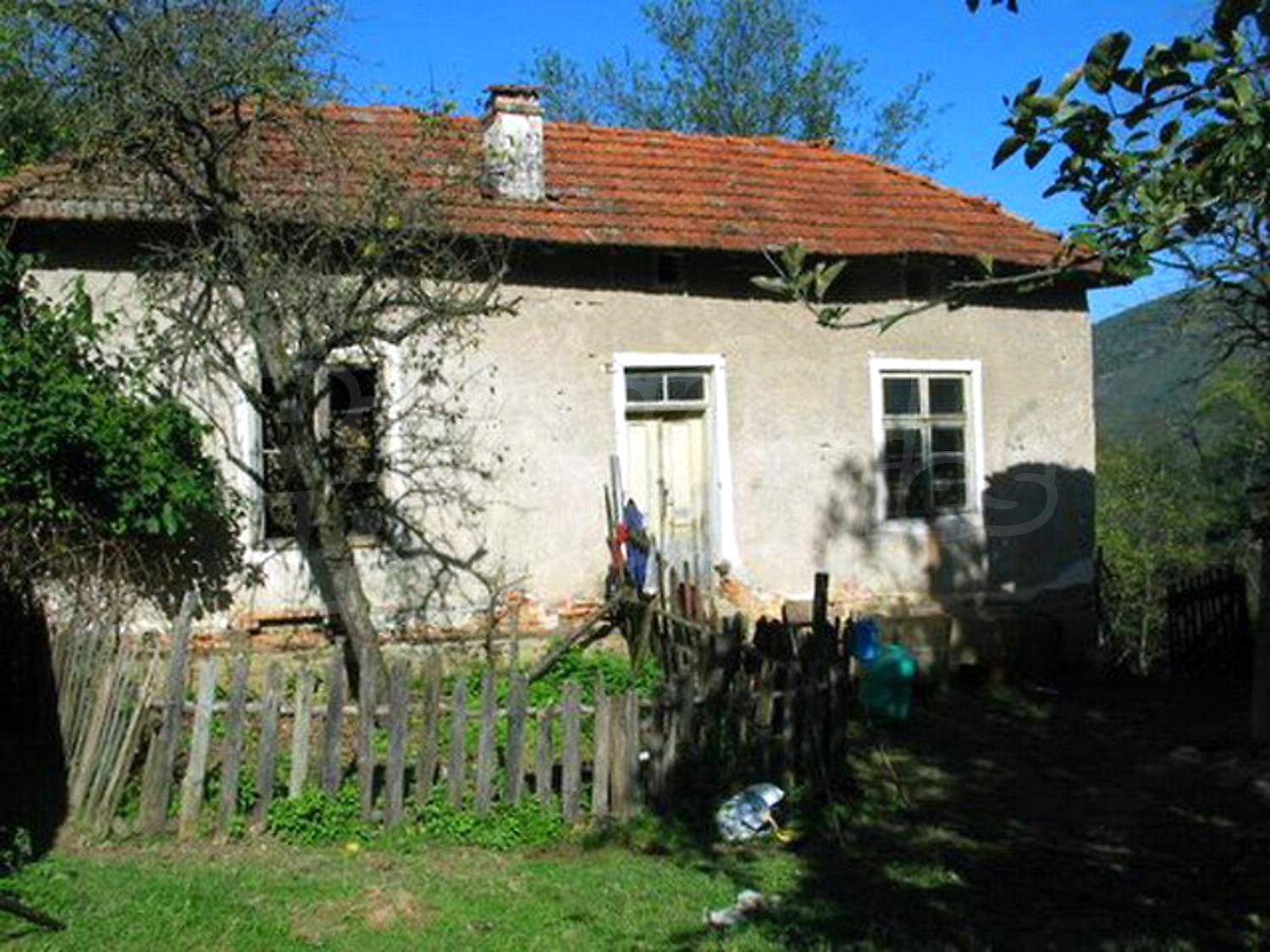 Gallery Picture 30