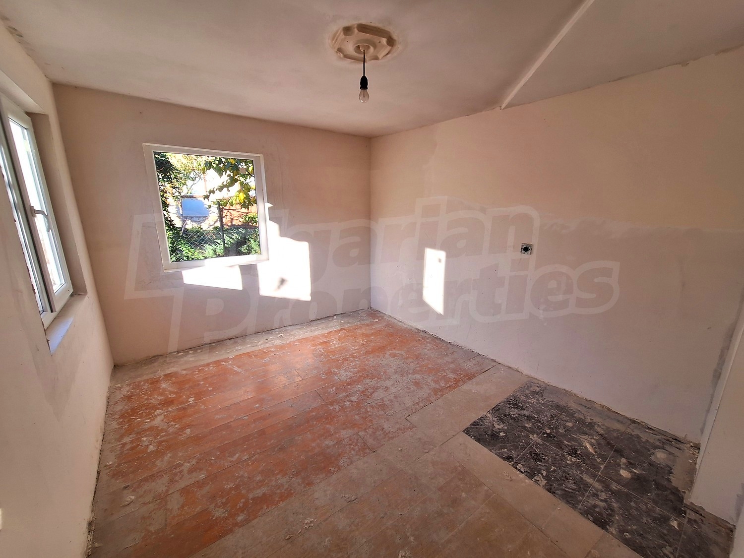 Gallery Picture 3