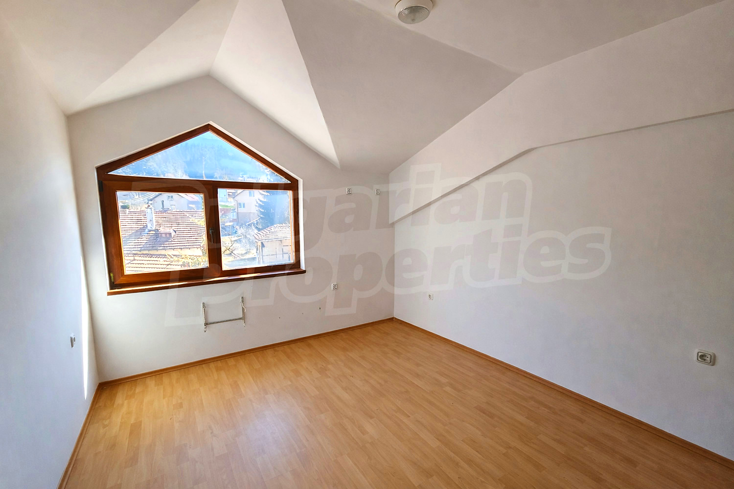 Gallery Picture 13