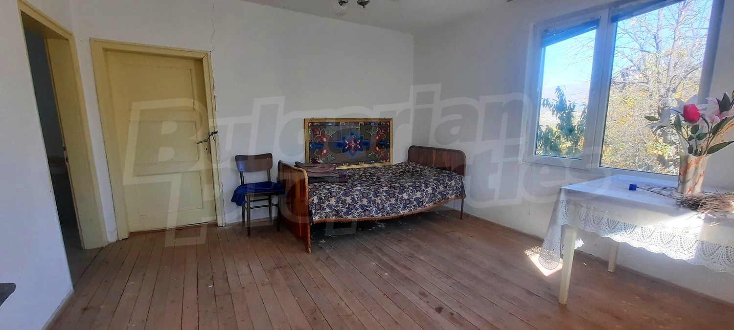 Gallery Picture 19