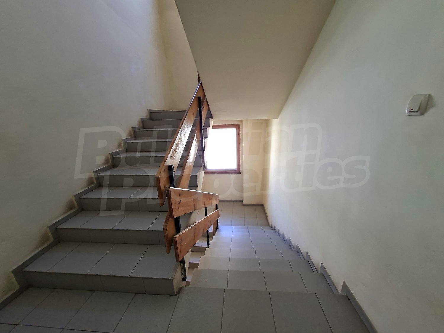 Gallery Picture 12