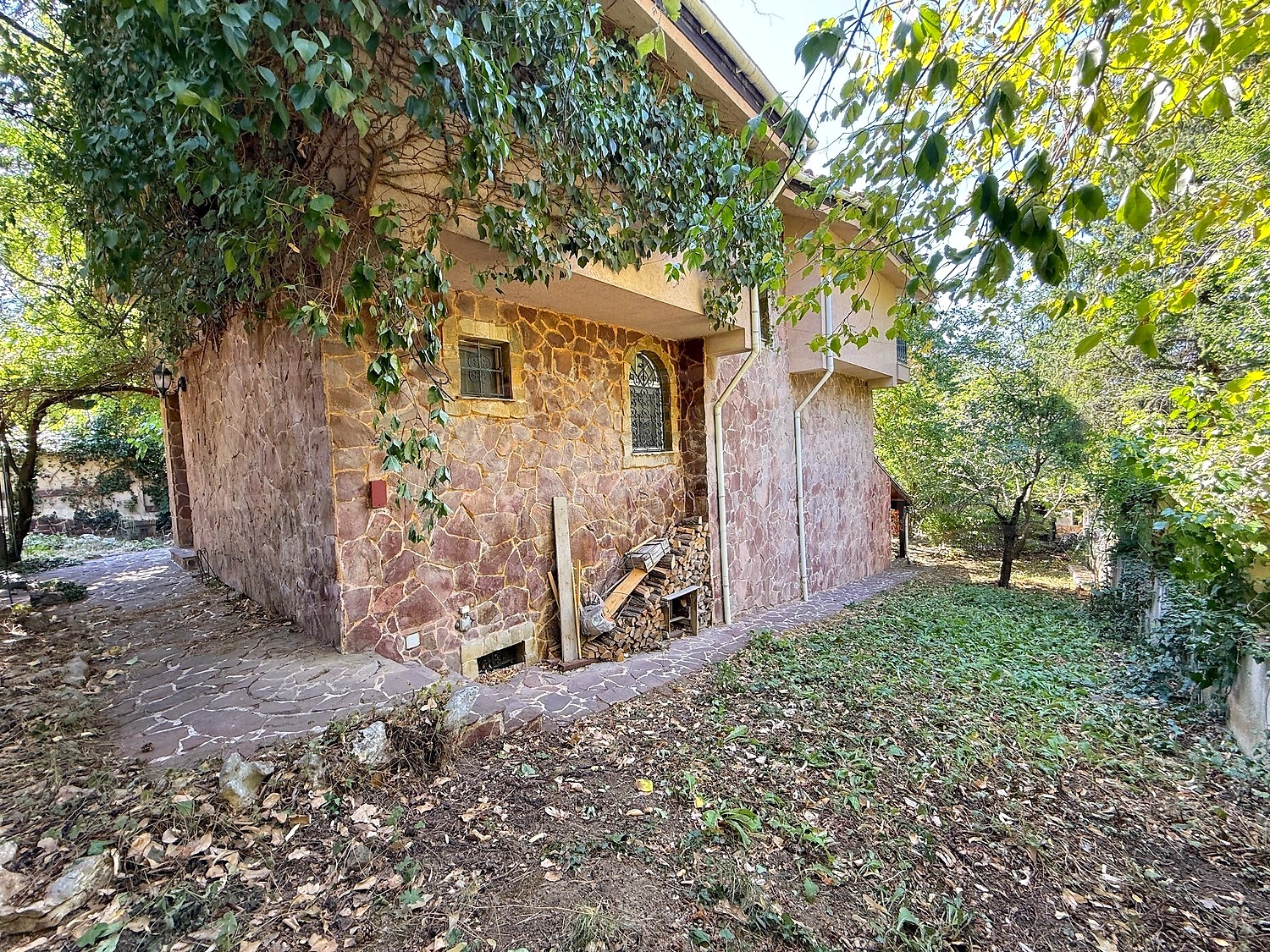 Gallery Picture 60