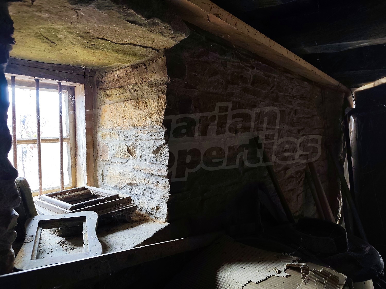 Gallery Picture 25