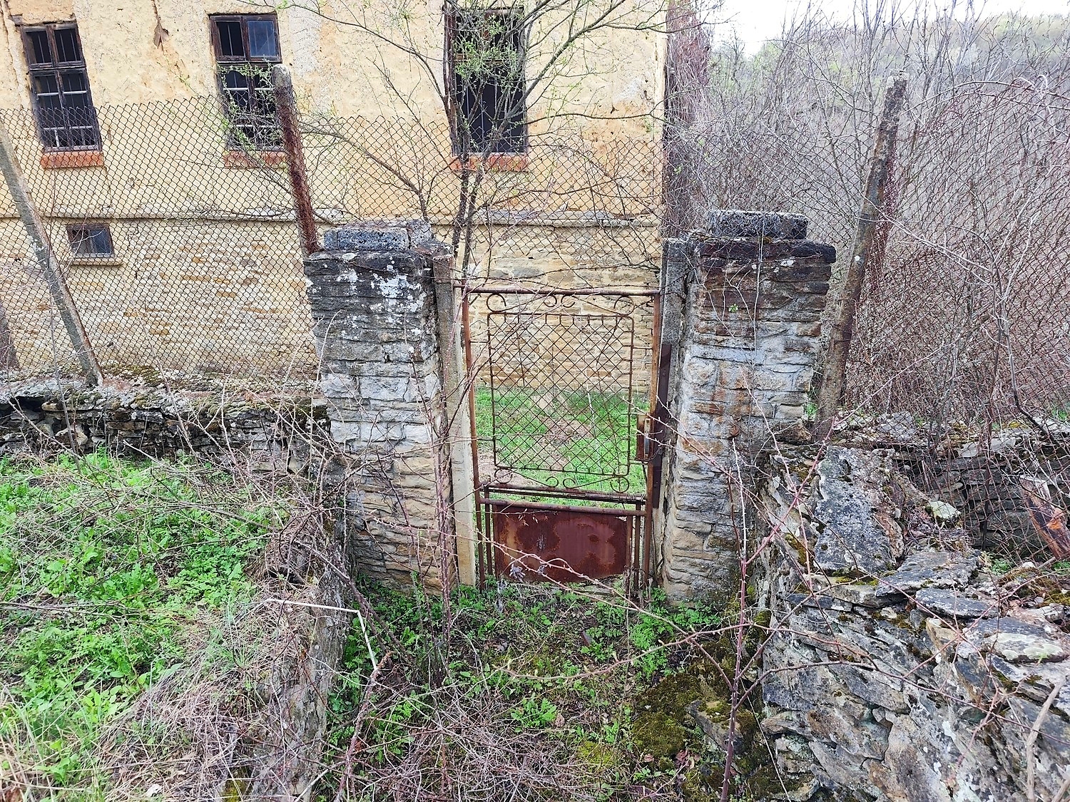 Gallery Picture 28