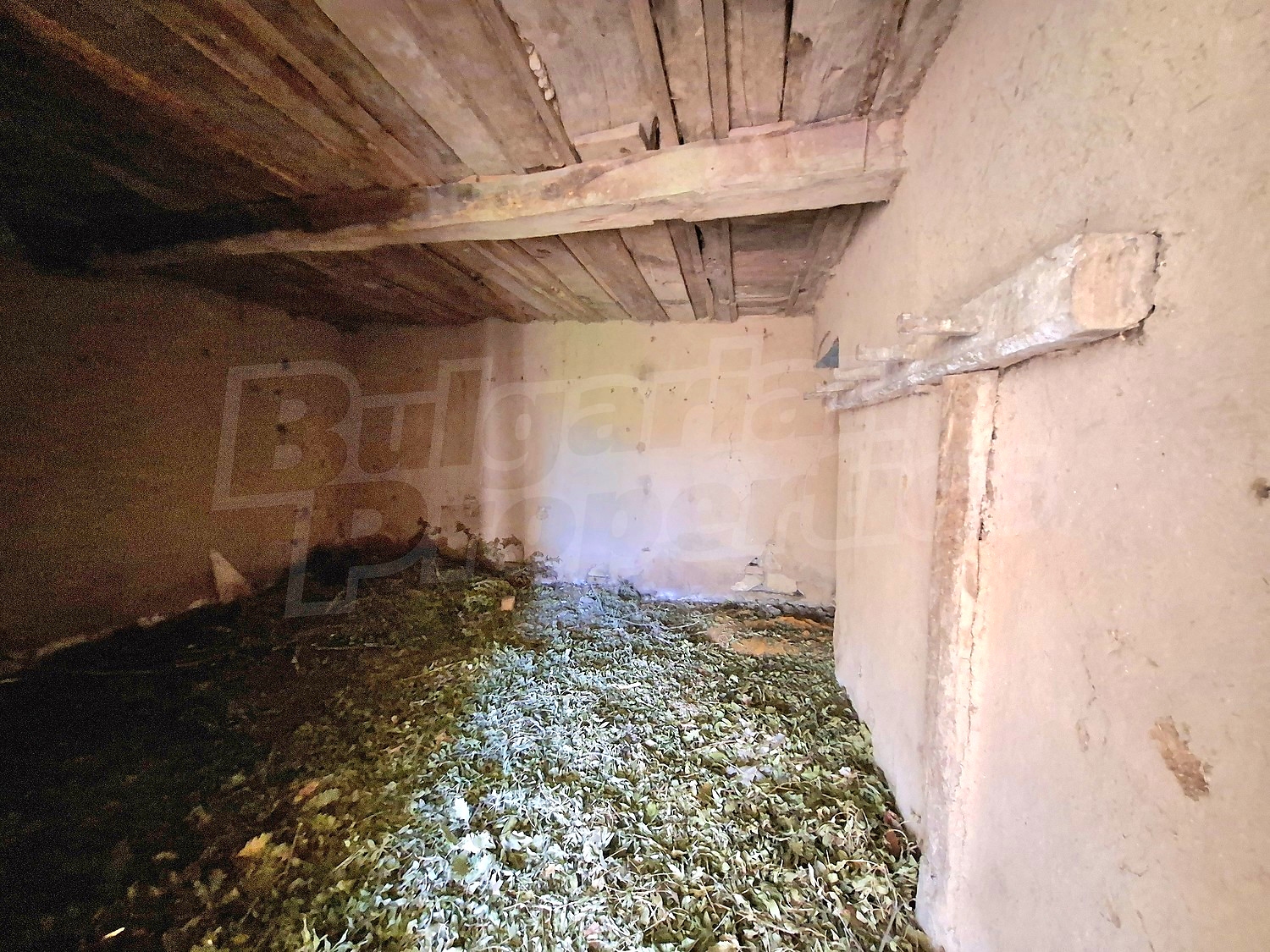 Gallery Picture 6