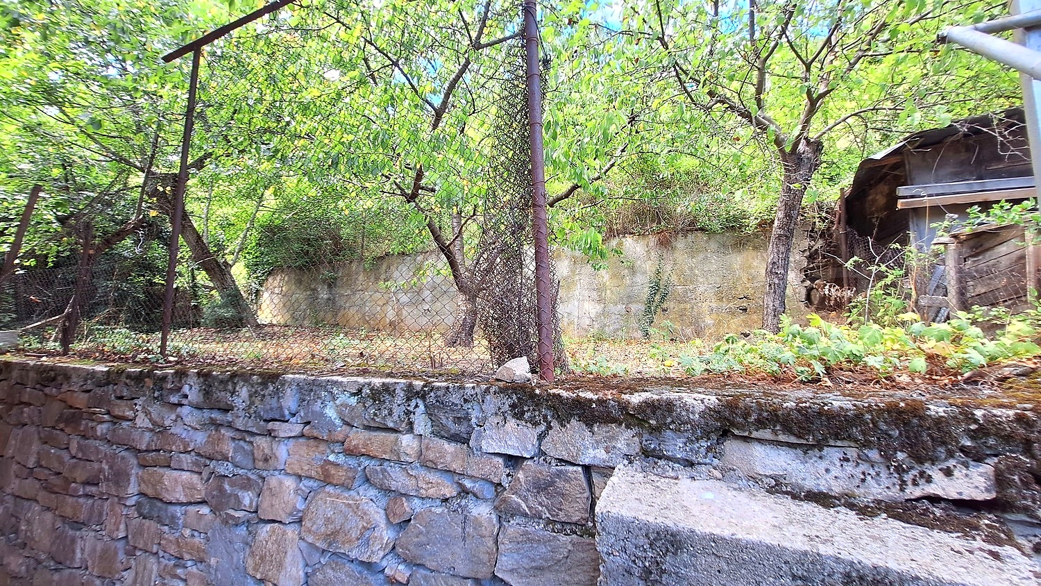 Gallery Picture 41