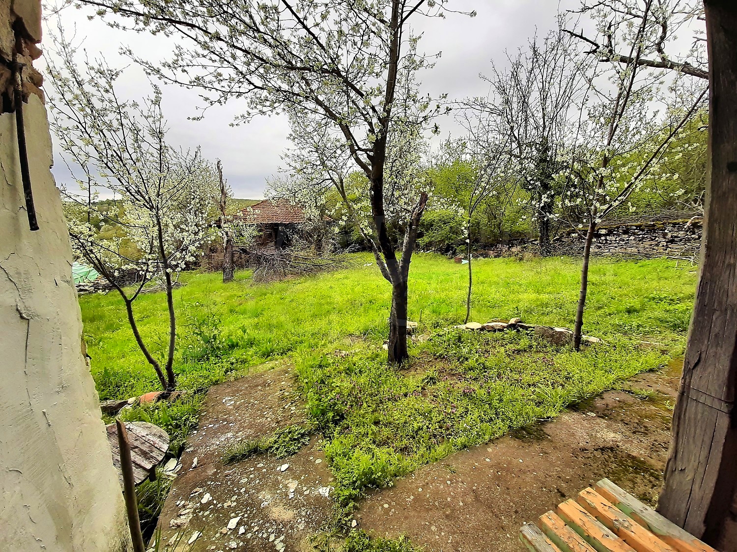 Gallery Picture 18