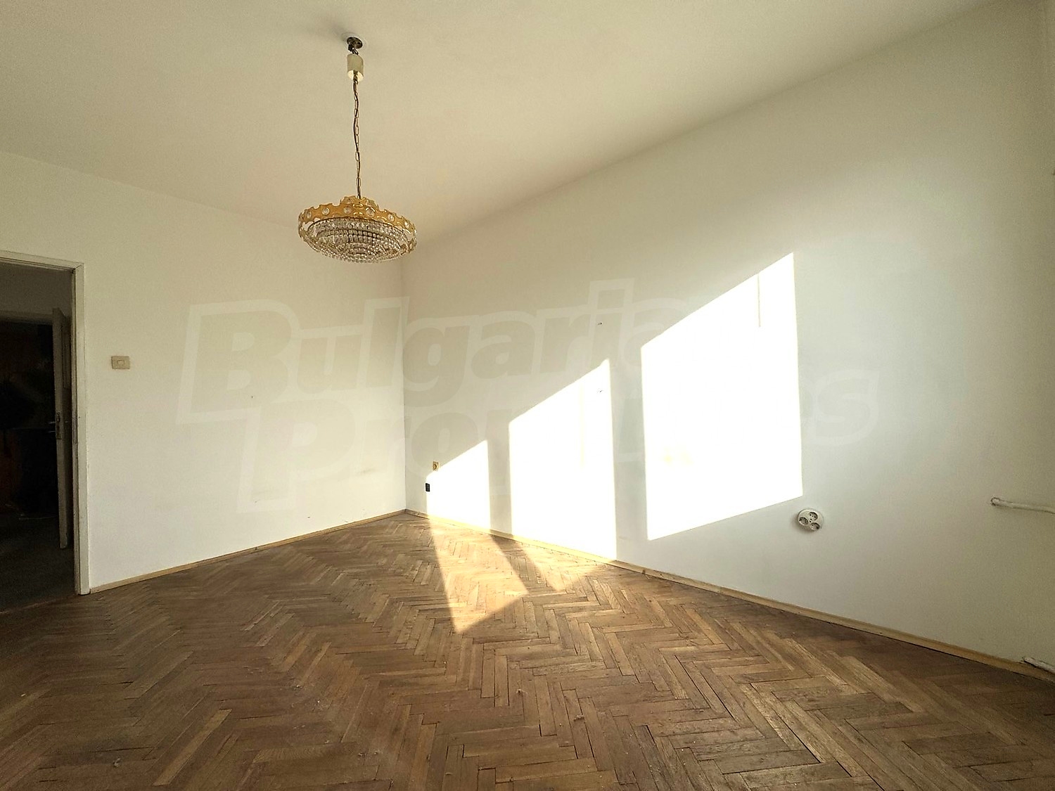 Gallery Picture 19
