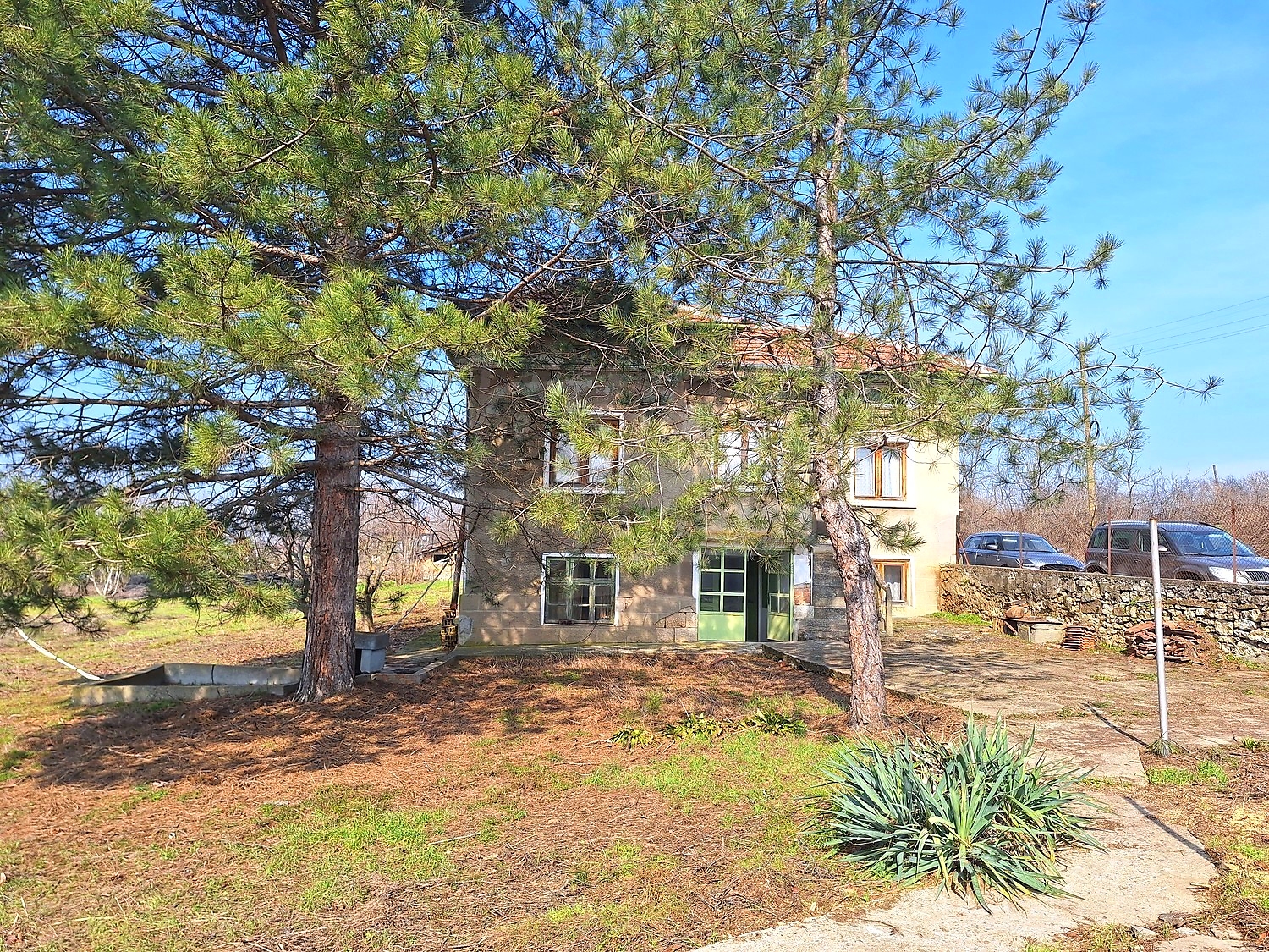 Gallery Picture 17