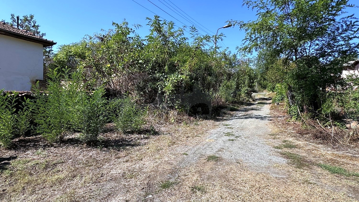 Gallery Picture 44