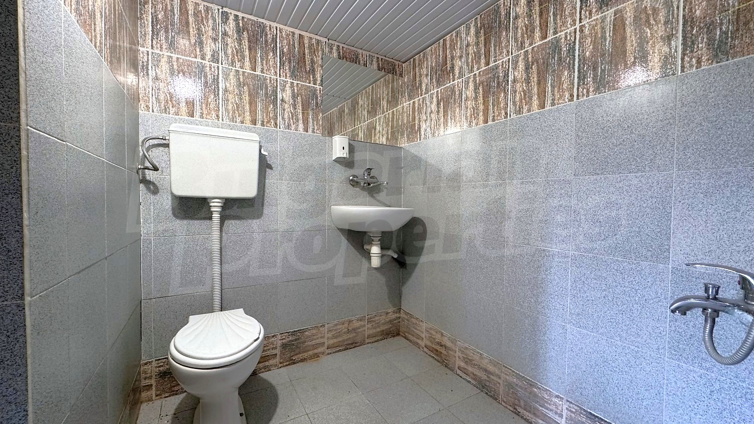Gallery Picture 10