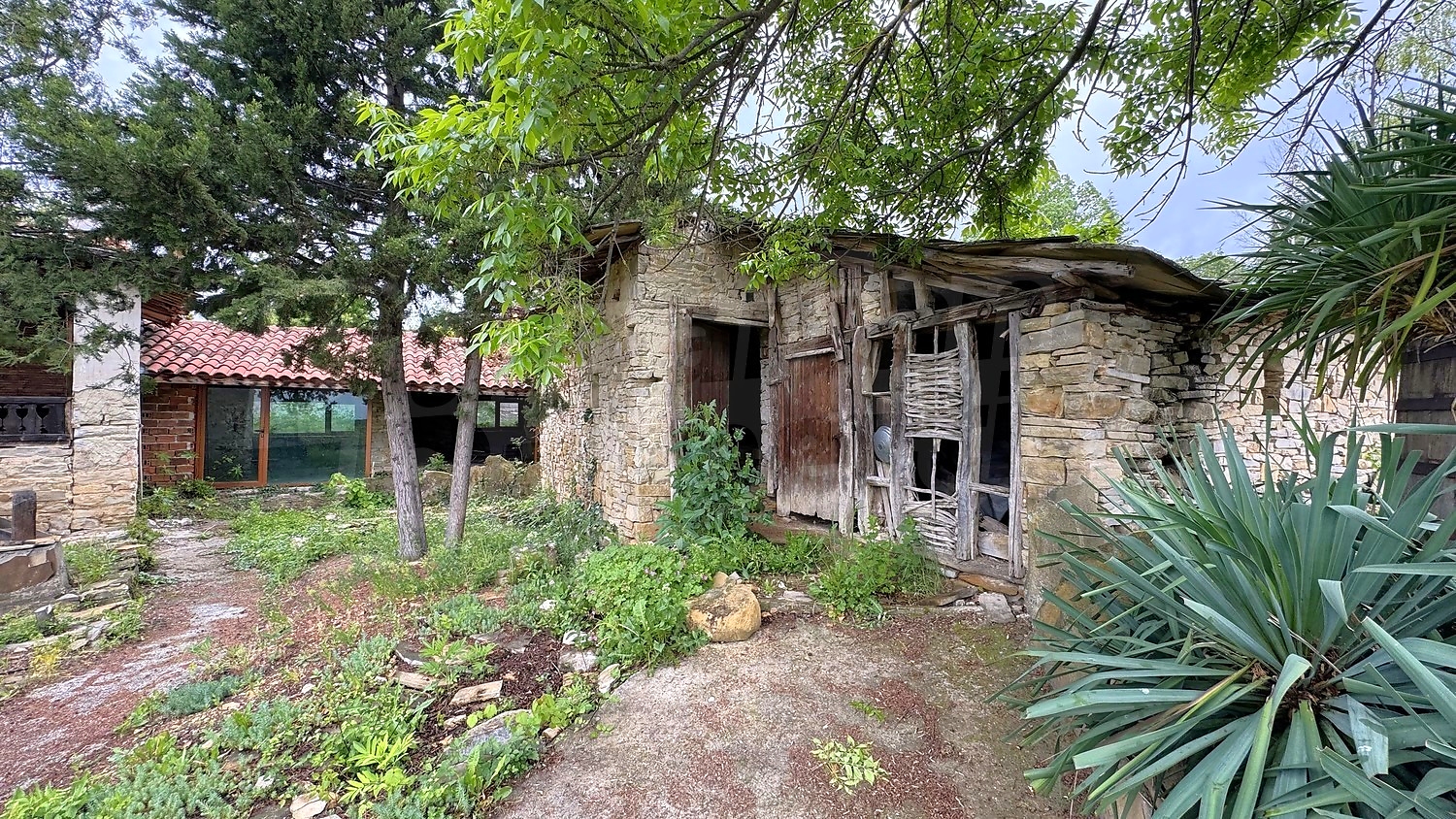 Gallery Picture 34