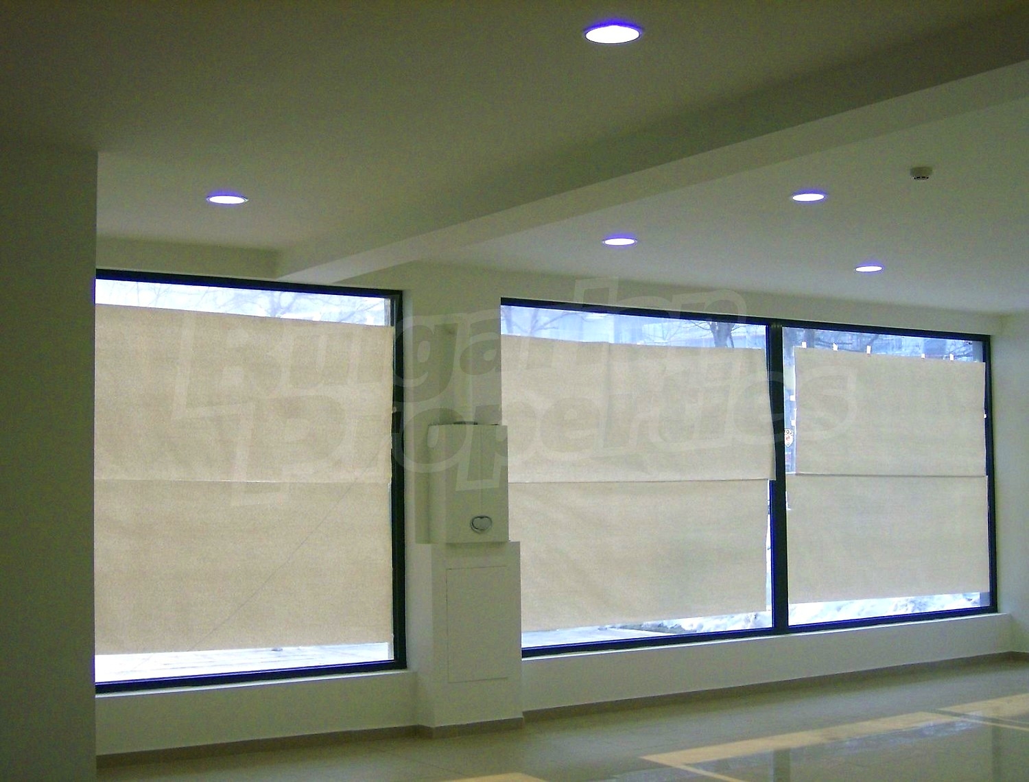 Gallery Picture 4
