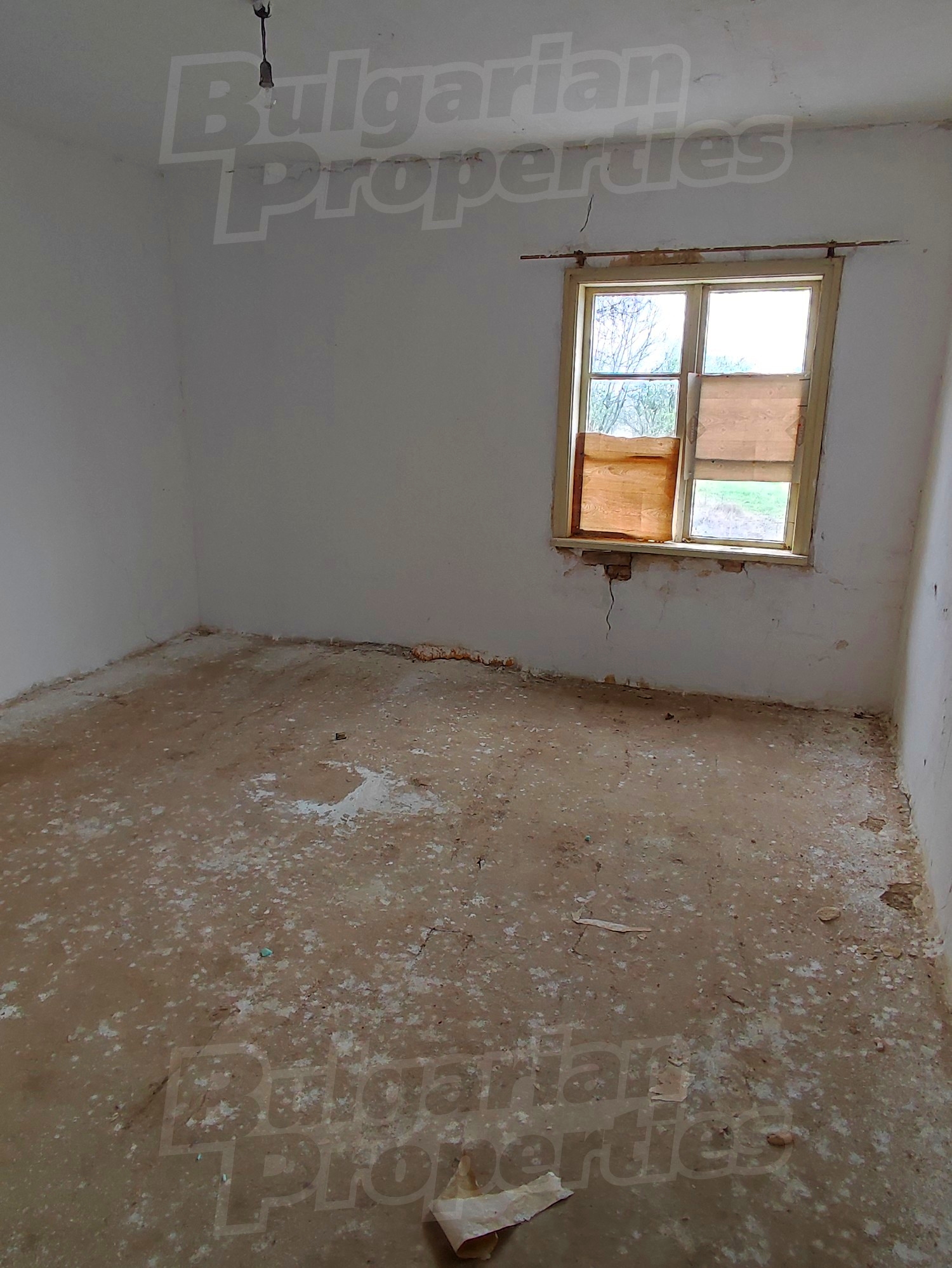 Gallery Picture 5