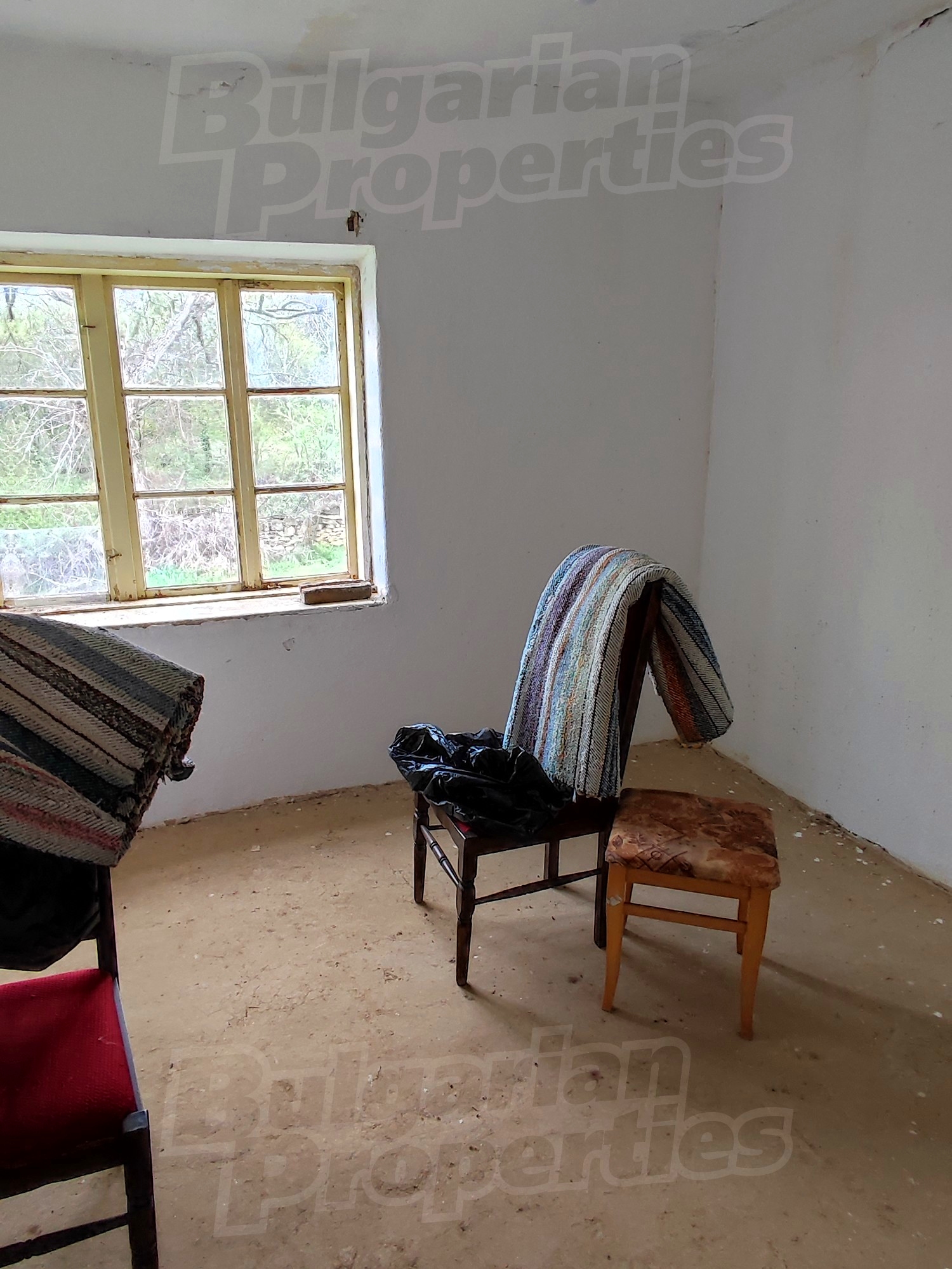 Gallery Picture 10