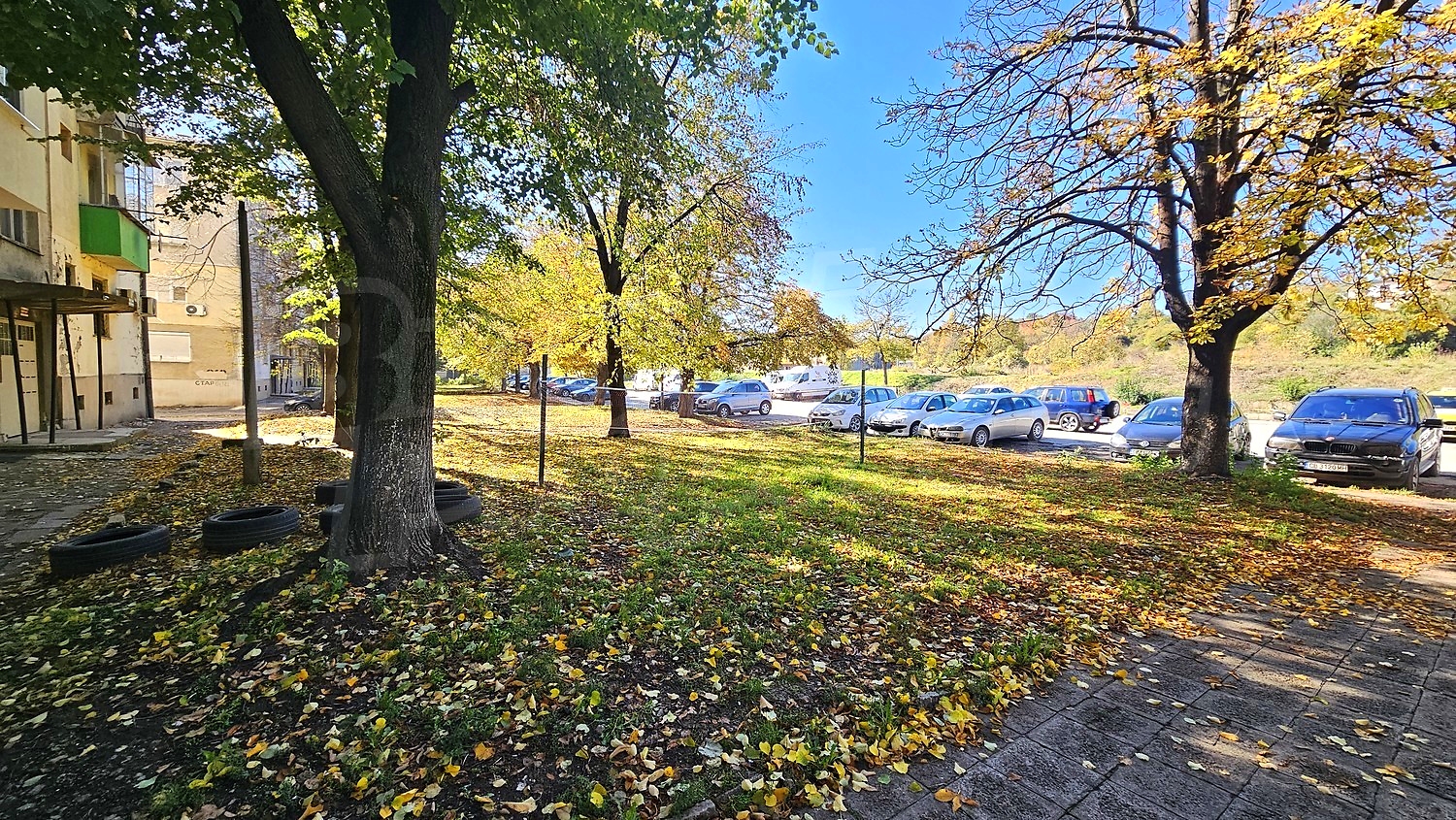 Gallery Picture 23