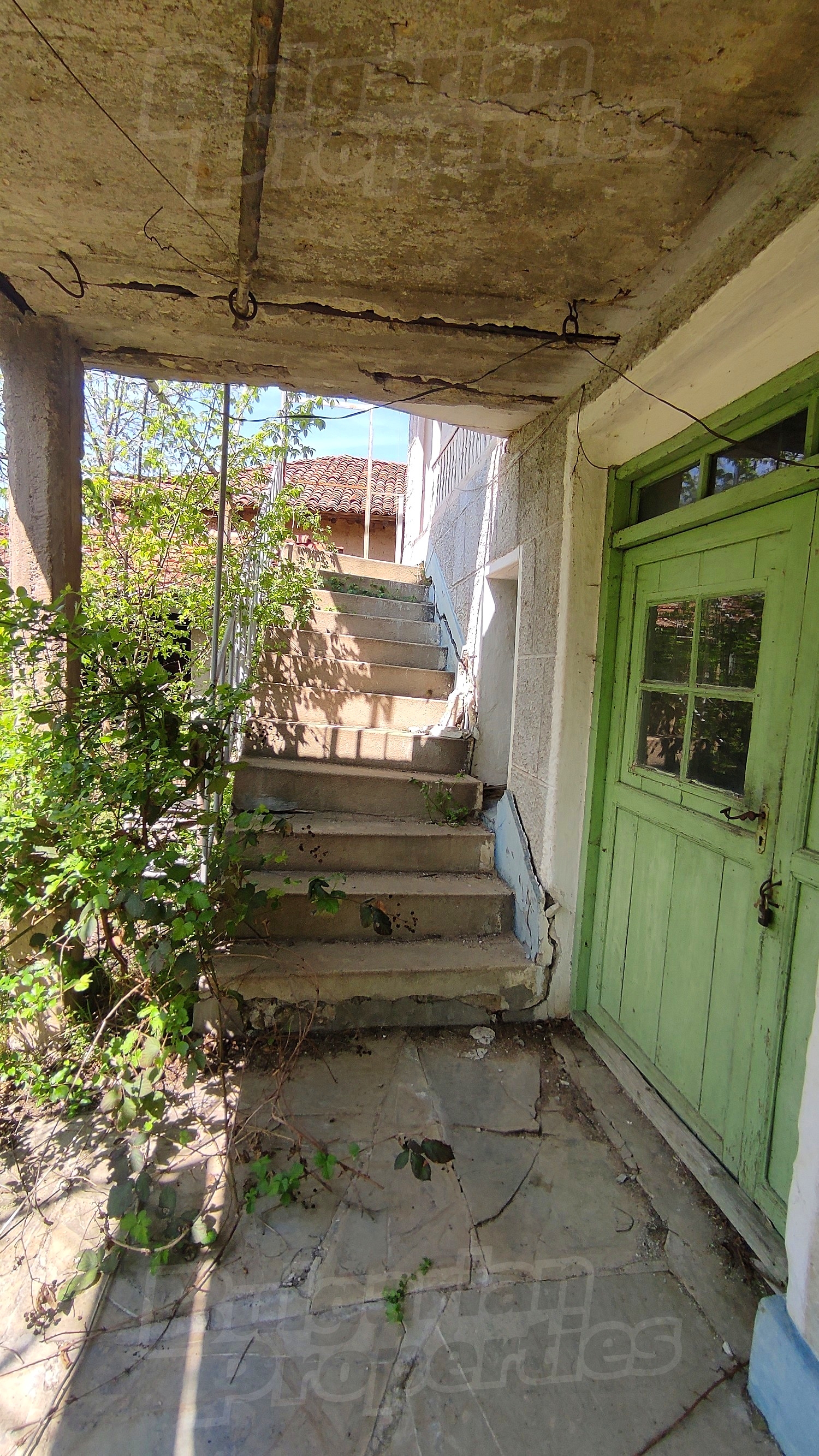 Gallery Picture 24
