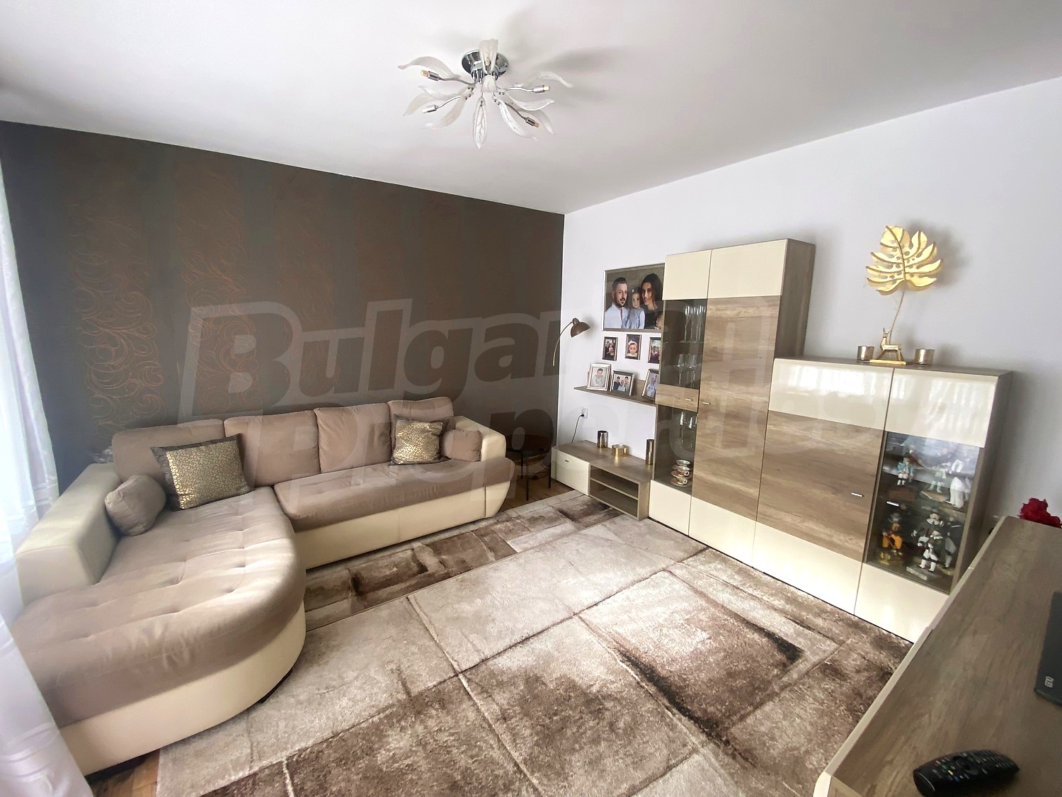 Gallery Picture 17