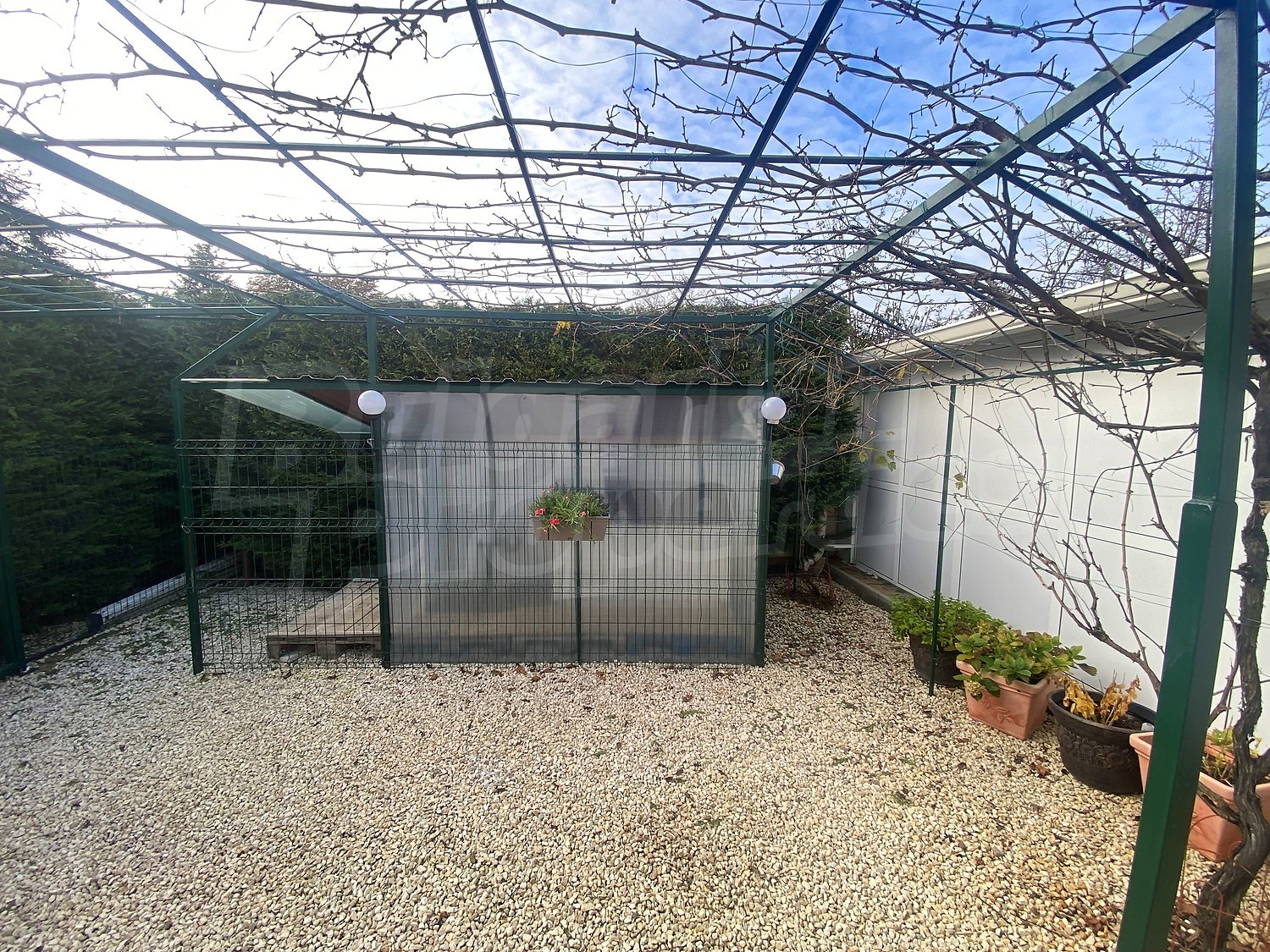 Gallery Picture 57