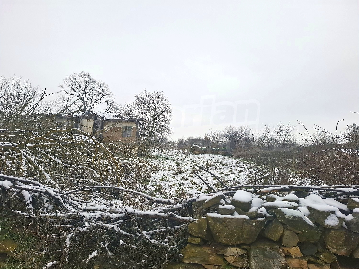 Gallery Picture 18