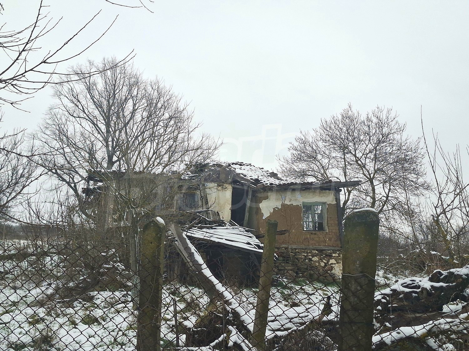 Gallery Picture 2