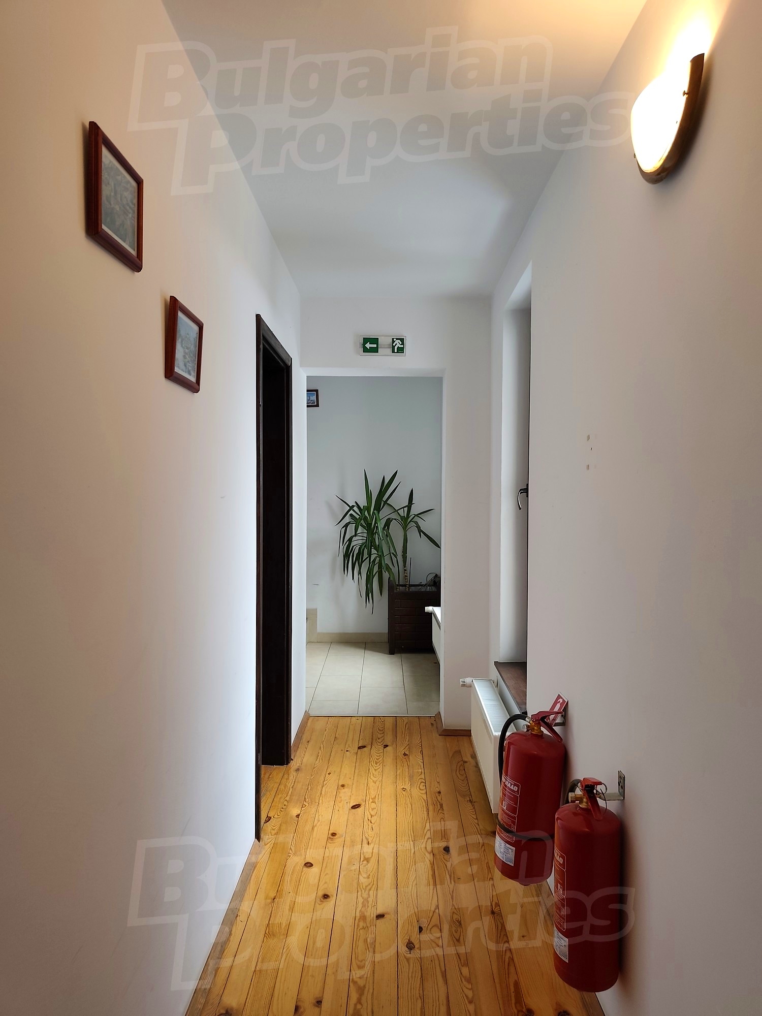 Gallery Picture 30