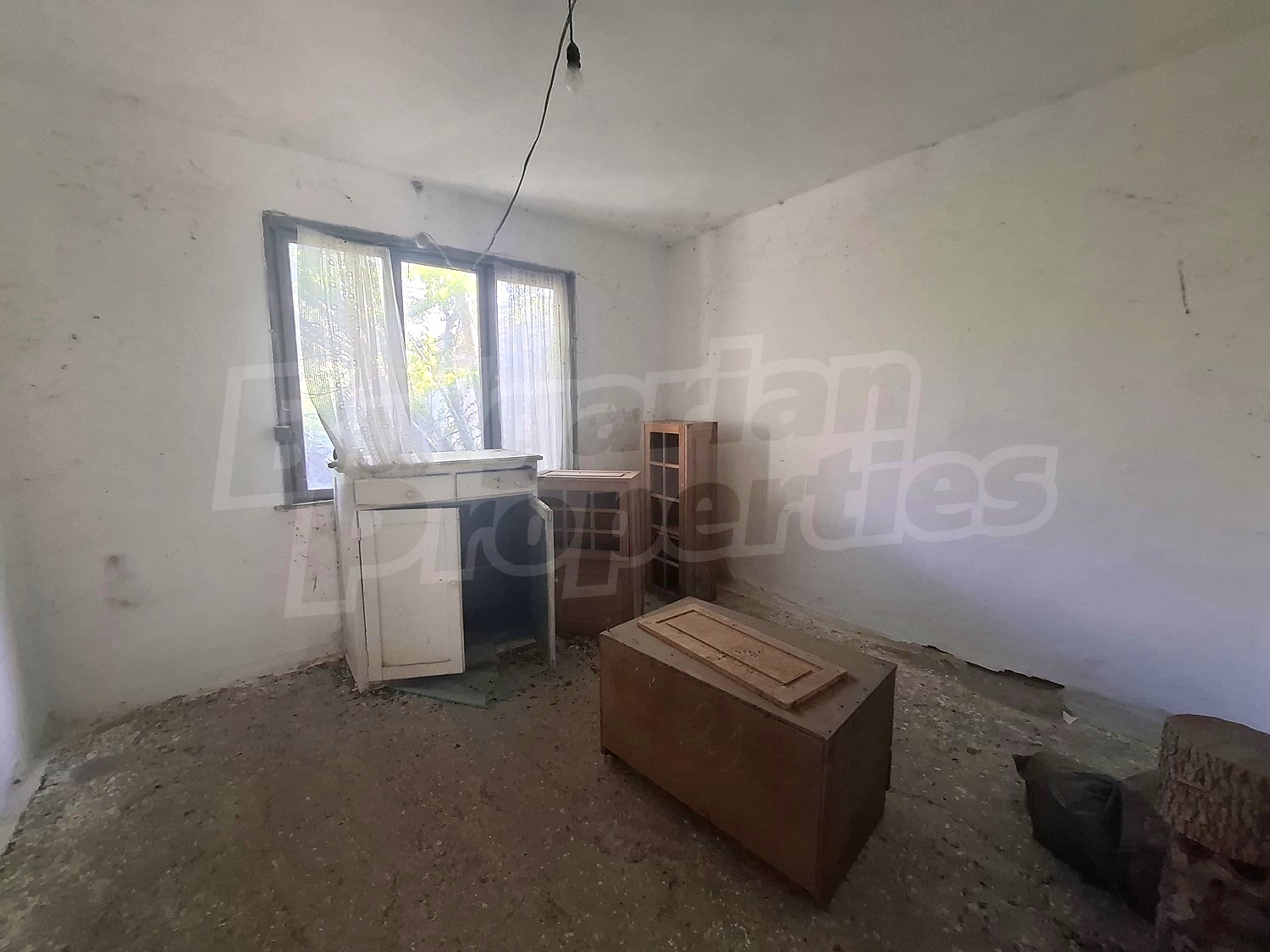 Gallery Picture 17