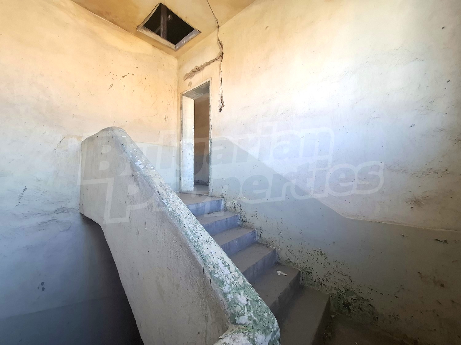 Gallery Picture 26