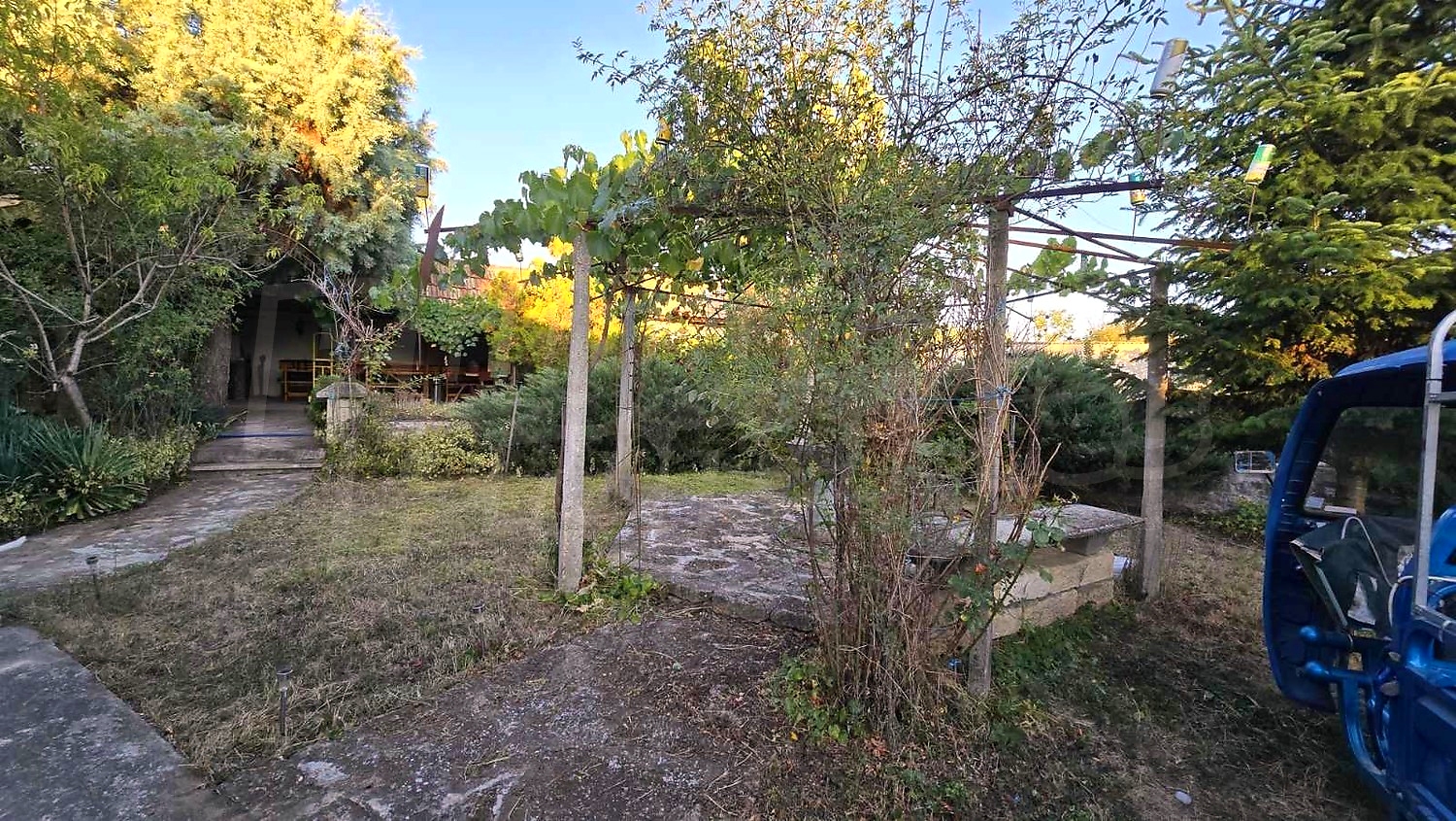 Gallery Picture 17