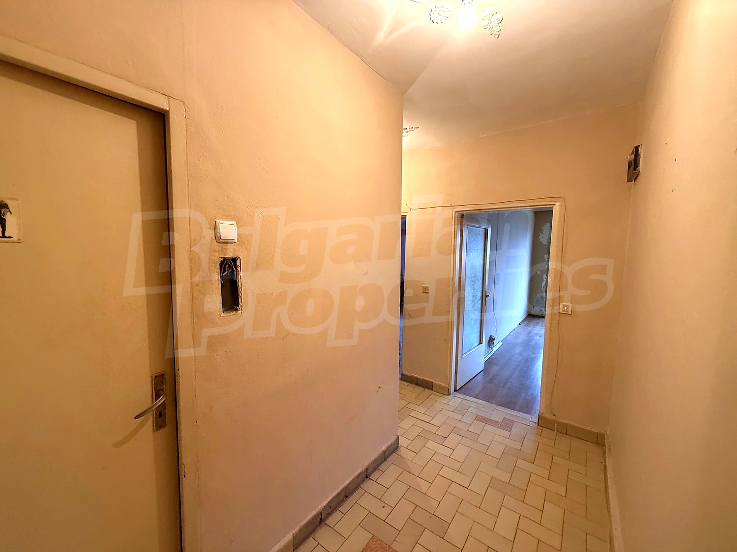 Gallery Picture 11