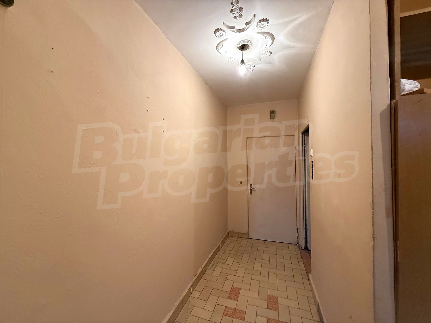 Gallery Picture 14