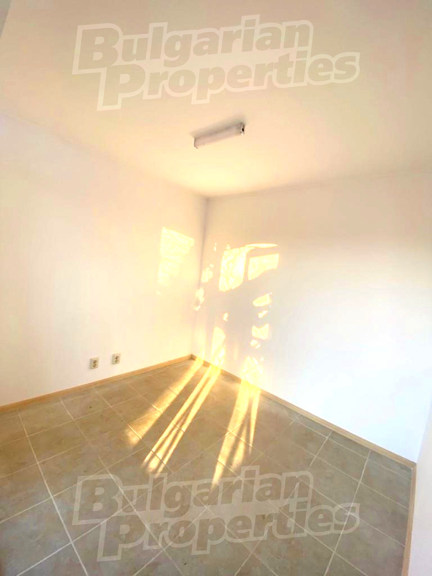 Gallery Picture 41