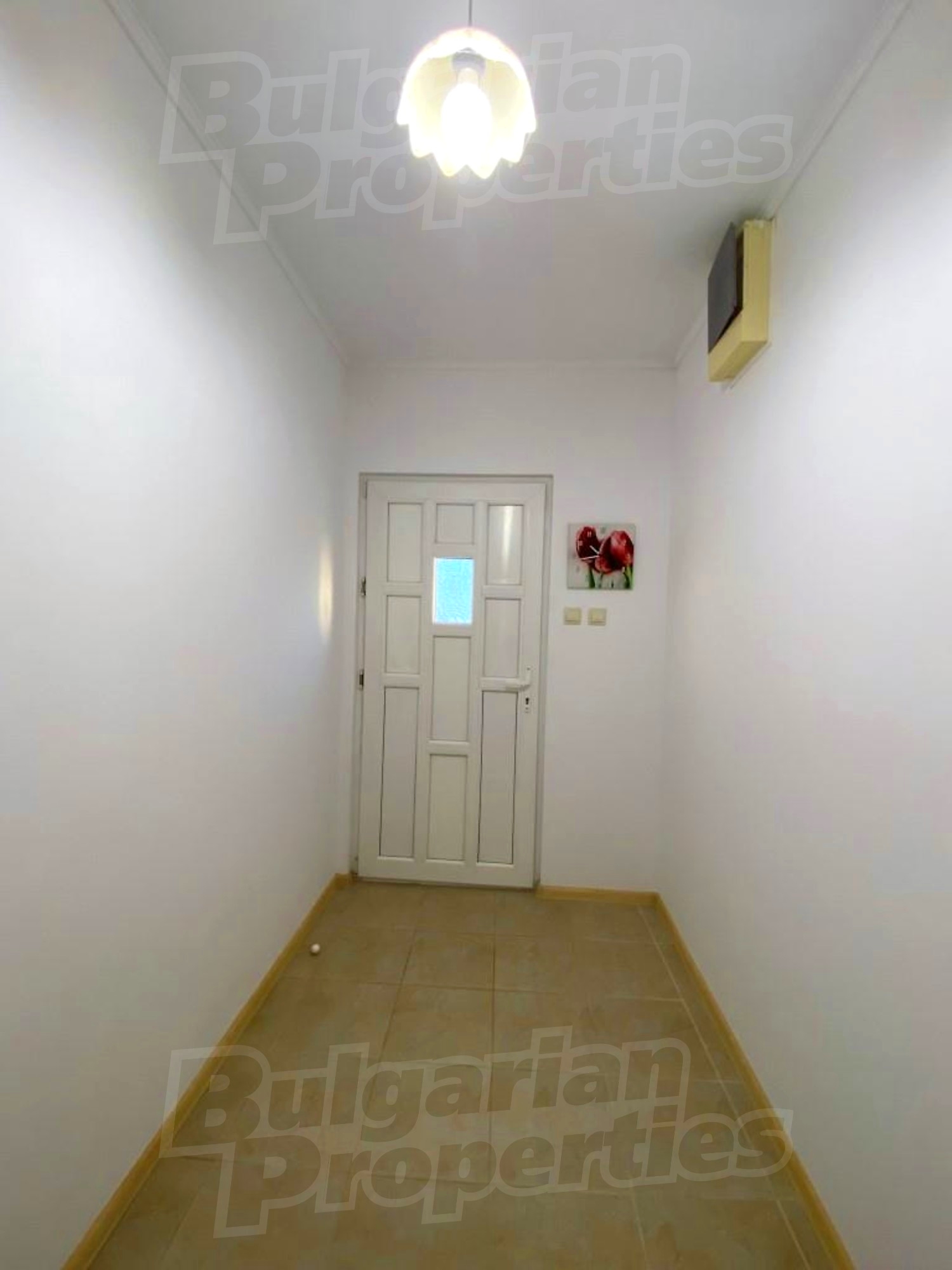 Gallery Picture 52