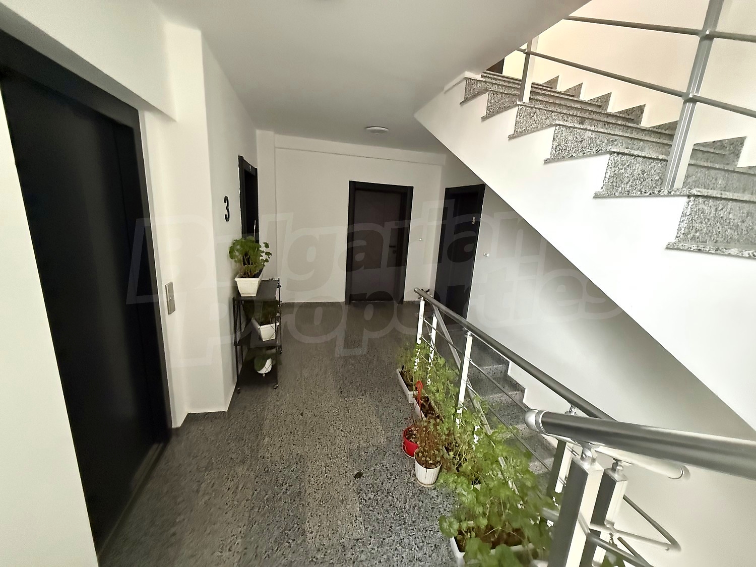 Gallery Picture 17