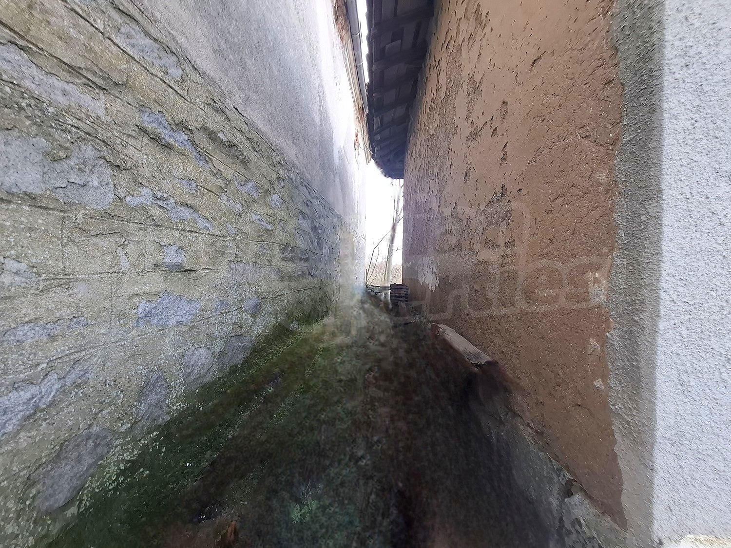 Gallery Picture 44