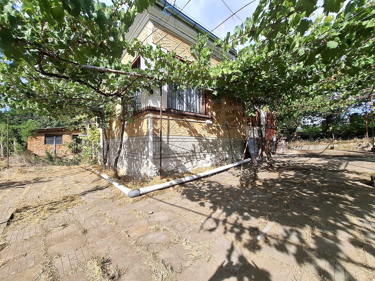 Gallery Picture 24